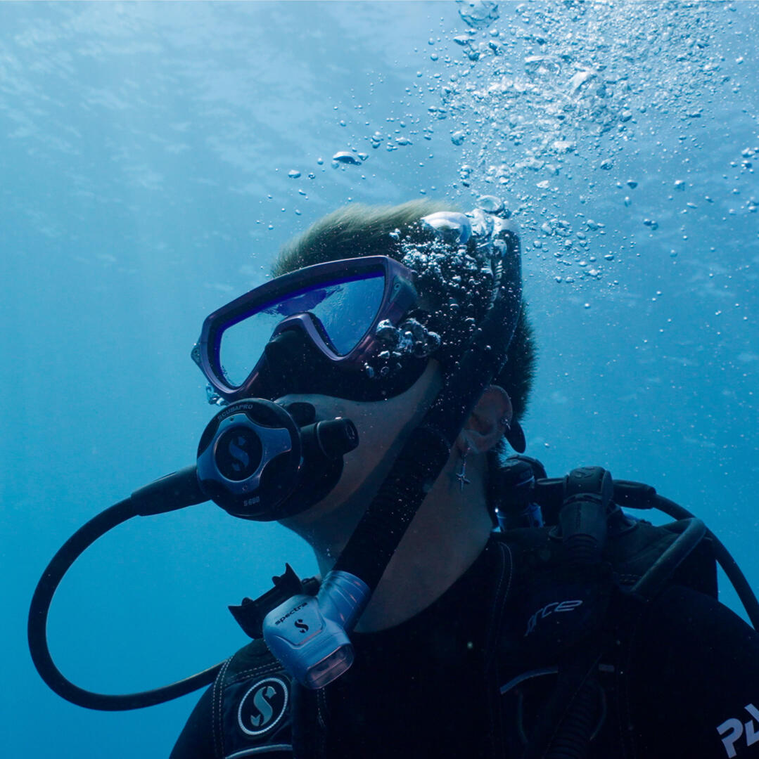 Dancing with Sharks - WJJW/PADI