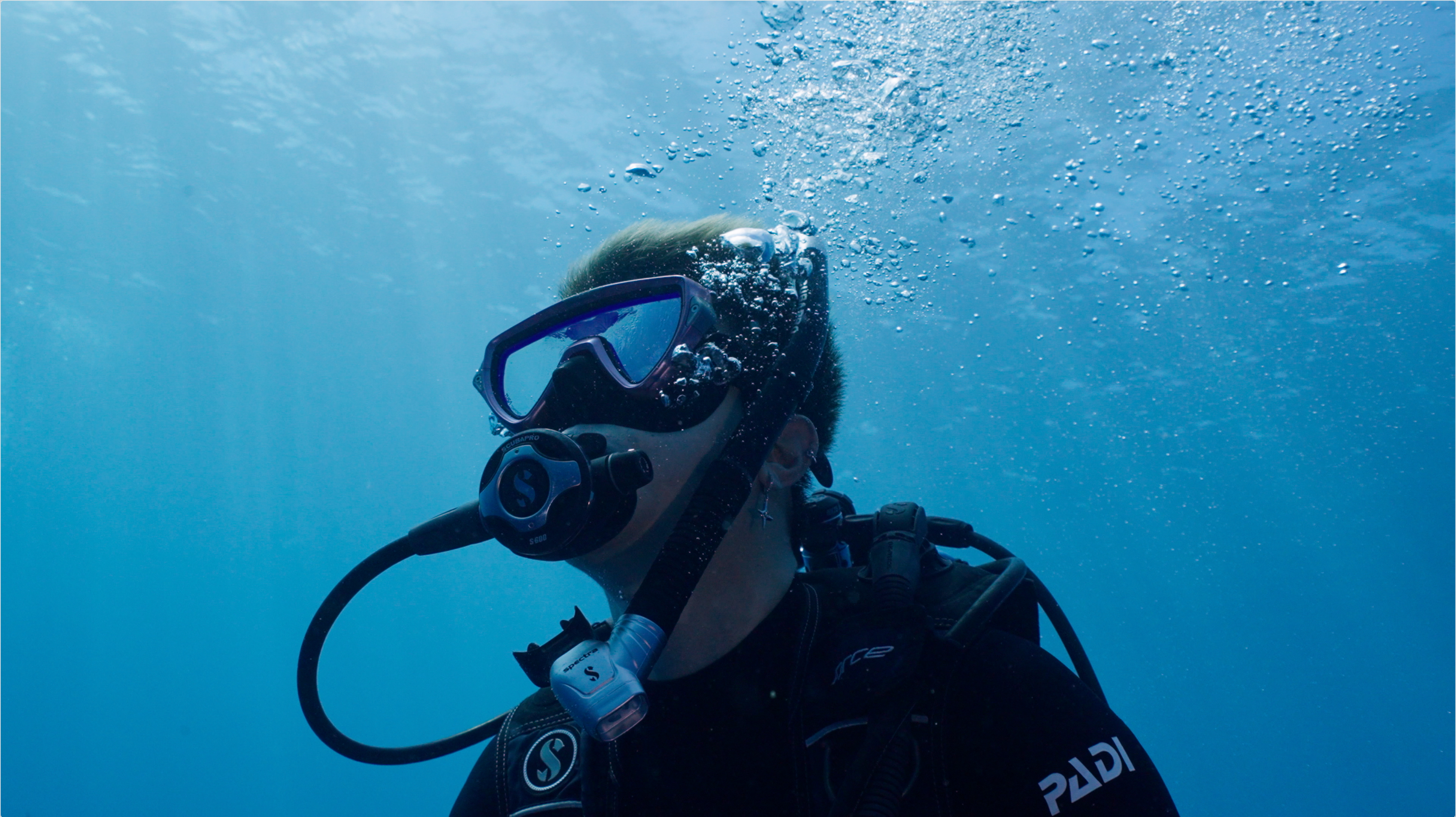 PADI × 马伯骞 - 与鲨共舞